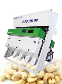 Cashew Nut Sorting Machine