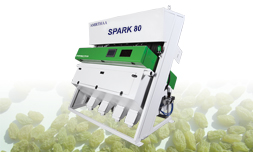 Raisin Sorting Machine